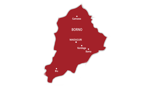 416 Borno Women, Children Regain Freedom After Months in Boko Haram Captivity