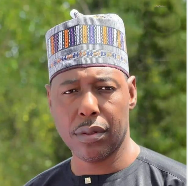 No Ransom Paid: Borno Govt Says 360 Hostages Freed Through Military Operation