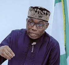 Six-Year Single Term is a Distraction, Focus on Credible Elections — Adewole Adebayo