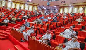 Senate Urges Security Agencies to Arrest Bandits Flaunting Cash on TikTok