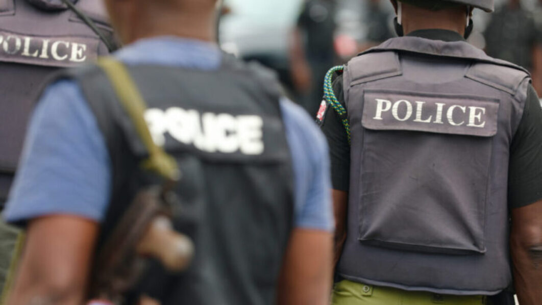 Politicisation Biggest Threat to State Police Success, Experts Warn