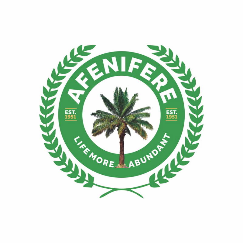 Afenifere Warns Rising Insecurity Threatens Nigeria’s Democracy