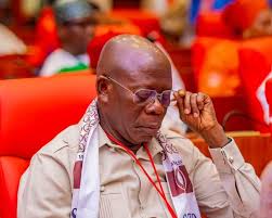 President Tinubu Possesses "Abundant" Political Will to Protect Nigeria, Asserts Senator Oshiomhole