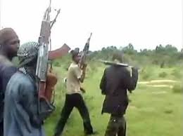 Armed Terrorists Attack Rural Community in Kebbi State, Abducting a Local Villager