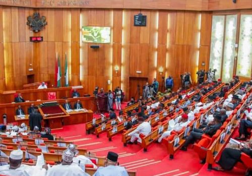 Senate Passes State Police Bill, Empowers Governors to Appoint Commissioners