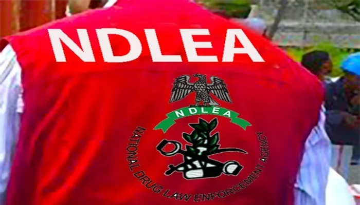 NDLEA Seizes 5.7 Tonnes of Drugs in Kwara, Secures Conviction of 68 Suspects