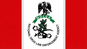 NDLEA Seizes N1.5tn Worth of Illicit Drugs in 18 Months