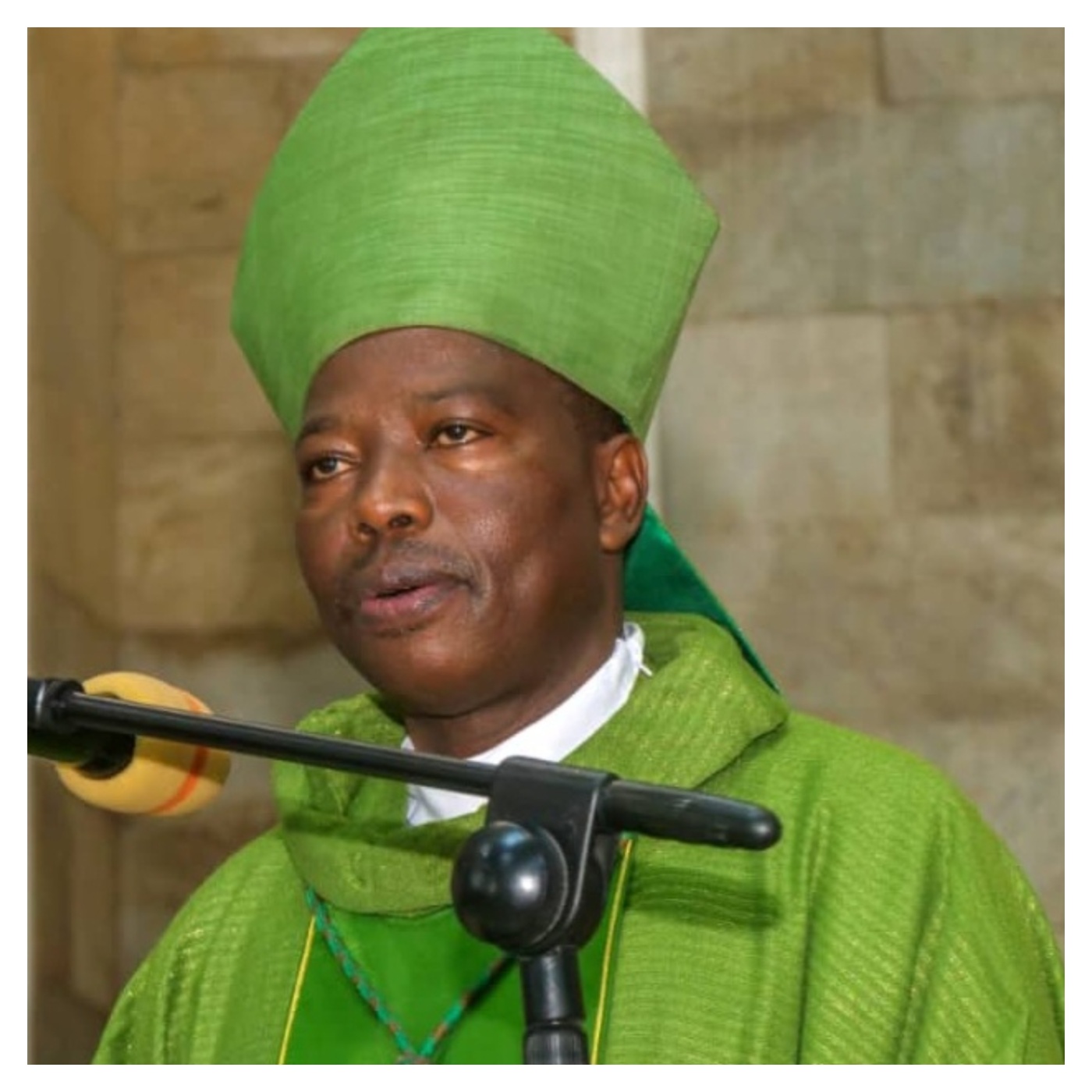 FG Not Doing Enough on Insecurity — Catholic Bishop Mamza
