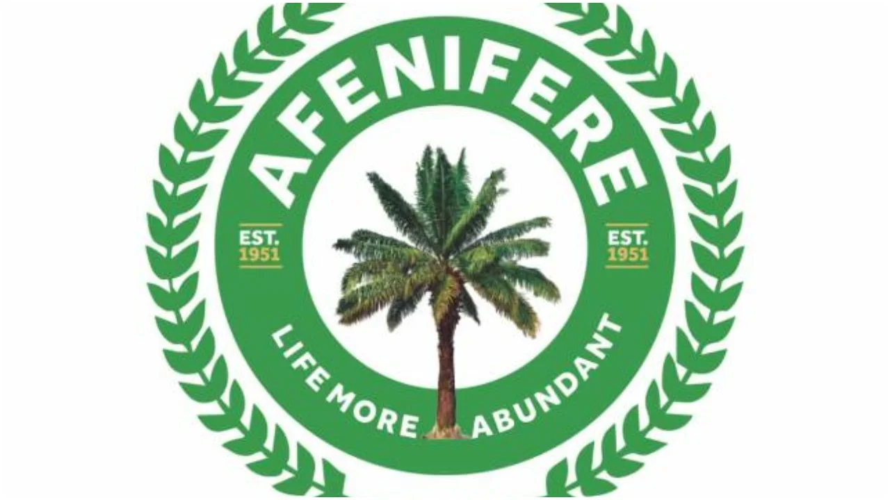 Oyo Abduction: Afenifere Warns Against Acceding to Terrorists’ Demands as Troops Tighten Siege