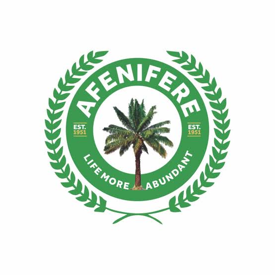 Afenifere Endorses Operation Kósàyè, Praises Lagos-Ogun Anti-Kidnap Offensive