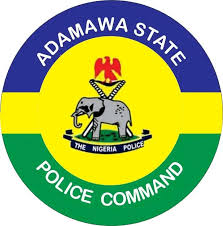 Police Arrest Four Armed Robbery Suspects Over Corpers' Lodge Attack in Adamawa