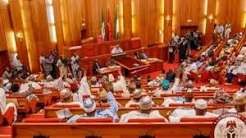 Senate Threatens Diplomatic Action Against South Africa Over Fresh Xenophobic Attacks