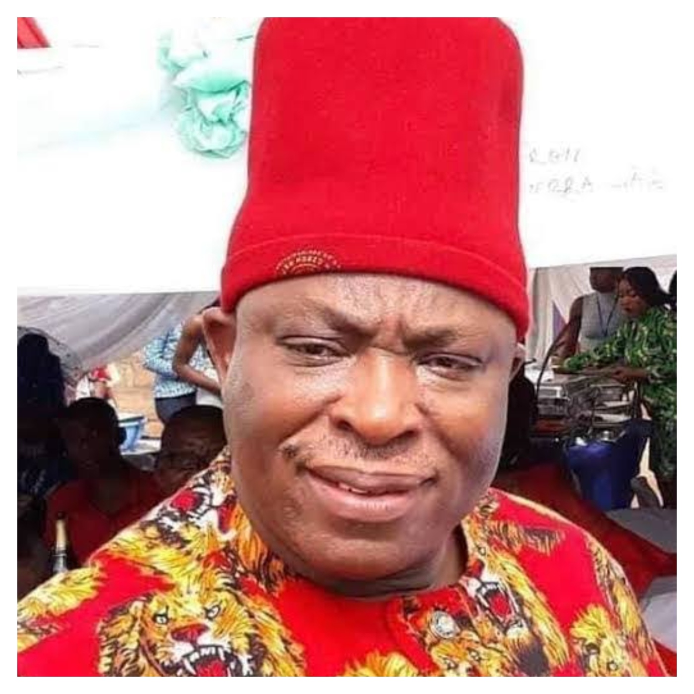Nigeria Won’t Collapse If South African Businesses Leave — Umeh