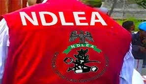 NDLEA Arraigns Drug Baron, Three Mexicans Over Alleged ₦480bn Meth Lab