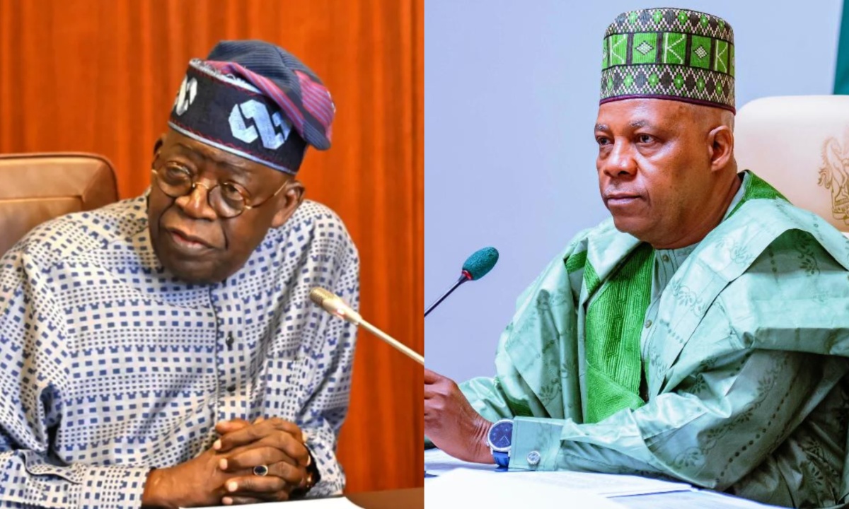 2027: Seyi Tinubu More Powerful Than Shettima Under Tinubu —  Kwankwasiyya Spokesman