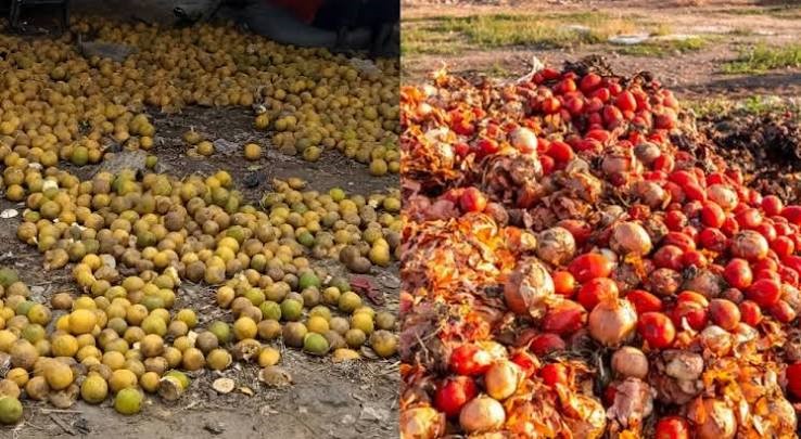 Post-Harvest Losses Cost Nigeria N3.5 Trillion Yearly, Bank of Agriculture Says
