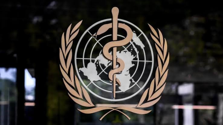 45% of Dementia Risk Could Be Prevented, WHO Says