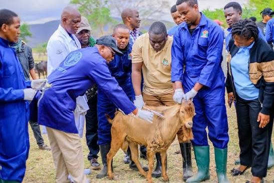 FG Renews Drive to Eradicate Livestock Disease by 2030