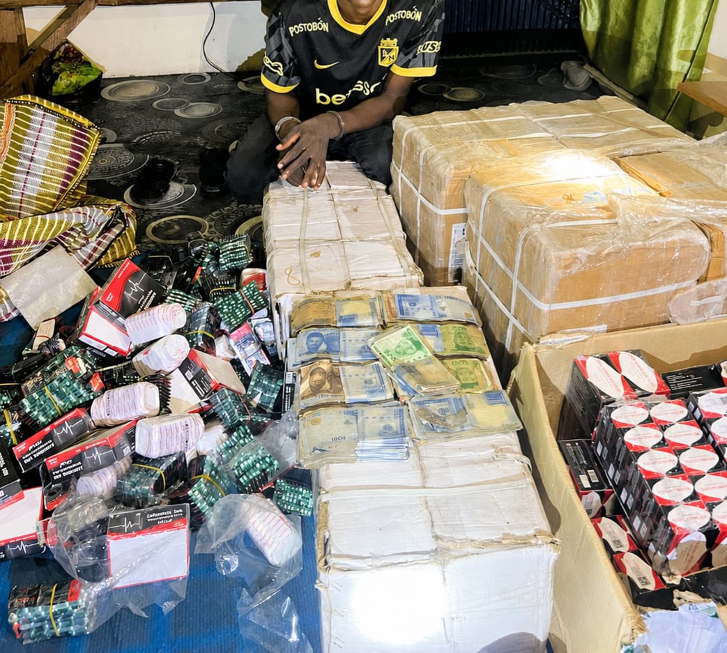 Police Raid Drug Warehouse in Yobe, Arrest Suspect, Recover Hard Drugs