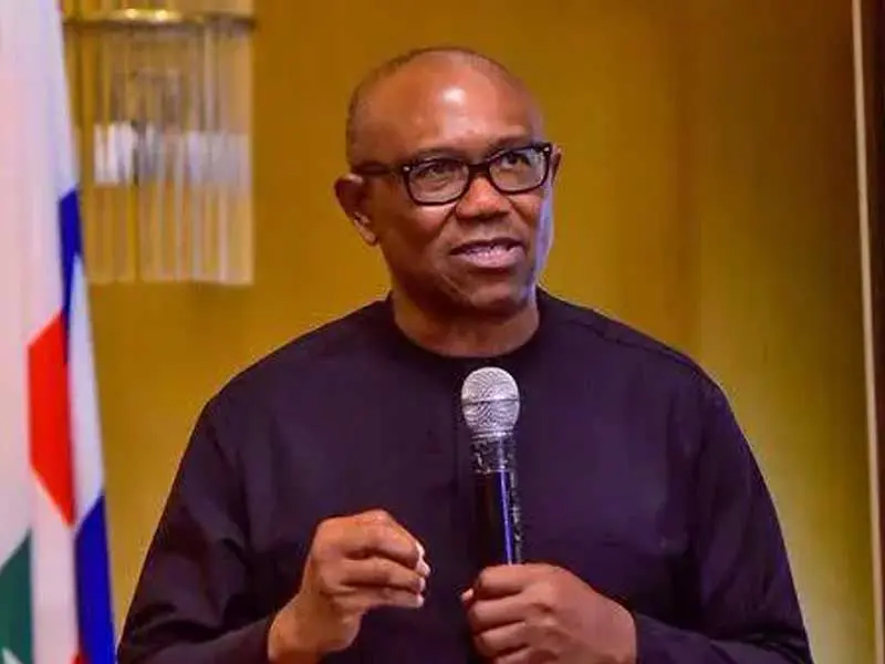 Real Reason I Picked Kwankwaso as My Running Mate — Peter Obi