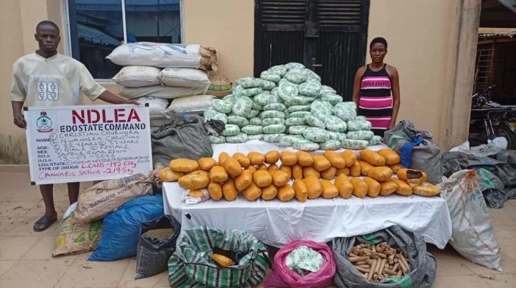 NDLEA Intercepts 1.63 Million Tramadol Pills in Cross-Border Operation