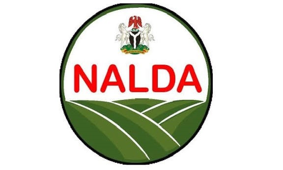 NALDA Plans to Convert Degraded Forests Into Farm Estates, Launches Green Hope Horticulture Project