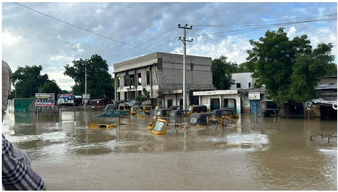 Borno, Yobe, Adamawa Activate Emergency Plans as Flood Threat Looms