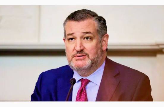 Ted Cruz Claims US Knows Nigerian Officials Behind Anti-Christian Policies
