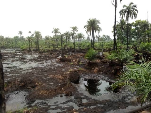 Crude Oil Spill From Heritage Energy Facility Devastates Delta Community
