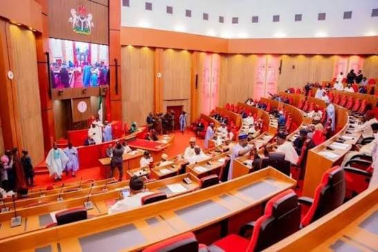 Senate Advances Bill Mandating Physical Offices for Facebook, TikTok in Nigeria