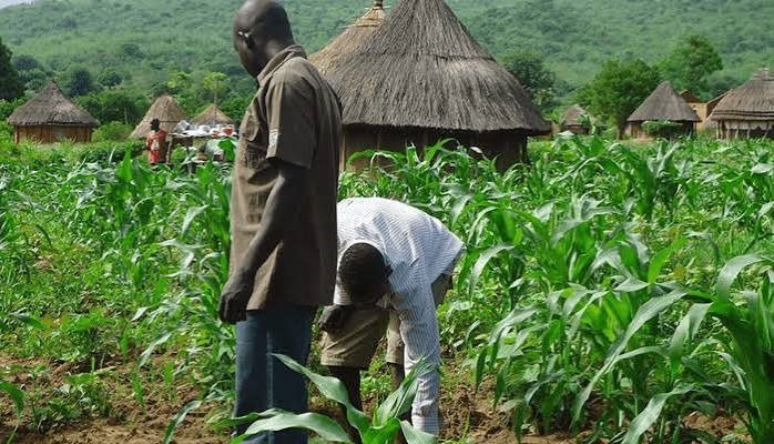 Foundation Trains 28 Seed Producers, Distributes Agro-Inputs to Boost Farming