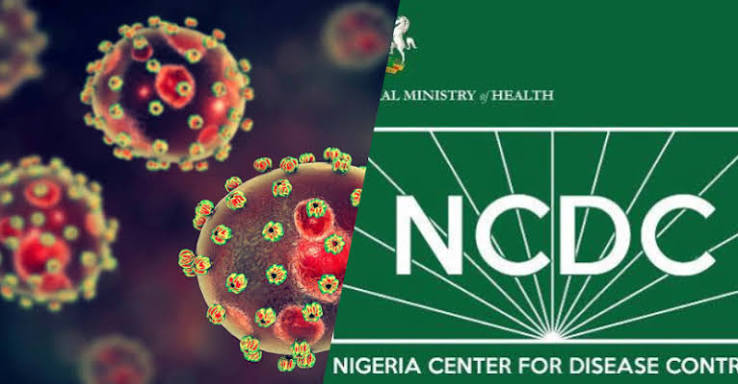NCDC Records Rise in Lassa Fever Cases as Death Toll Reaches 229