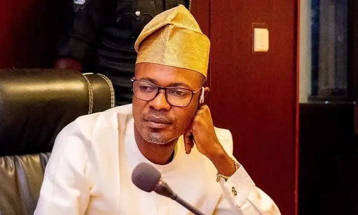 Reps Order IGP to Produce Alleged Fake Agency DG Within 48 Hours