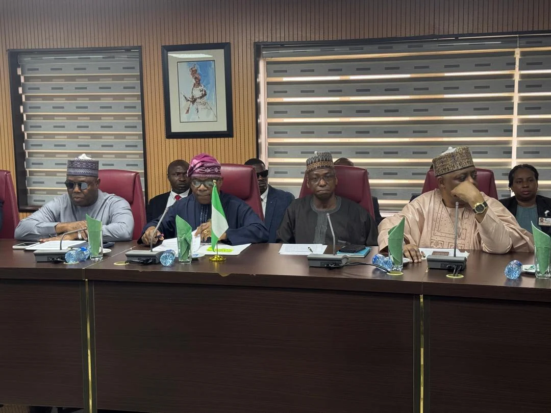 Tinubu Declines Meeting with South African Envoys Over Xenophobic Attacks, Sends Delegation to Foreign Affairs Minister