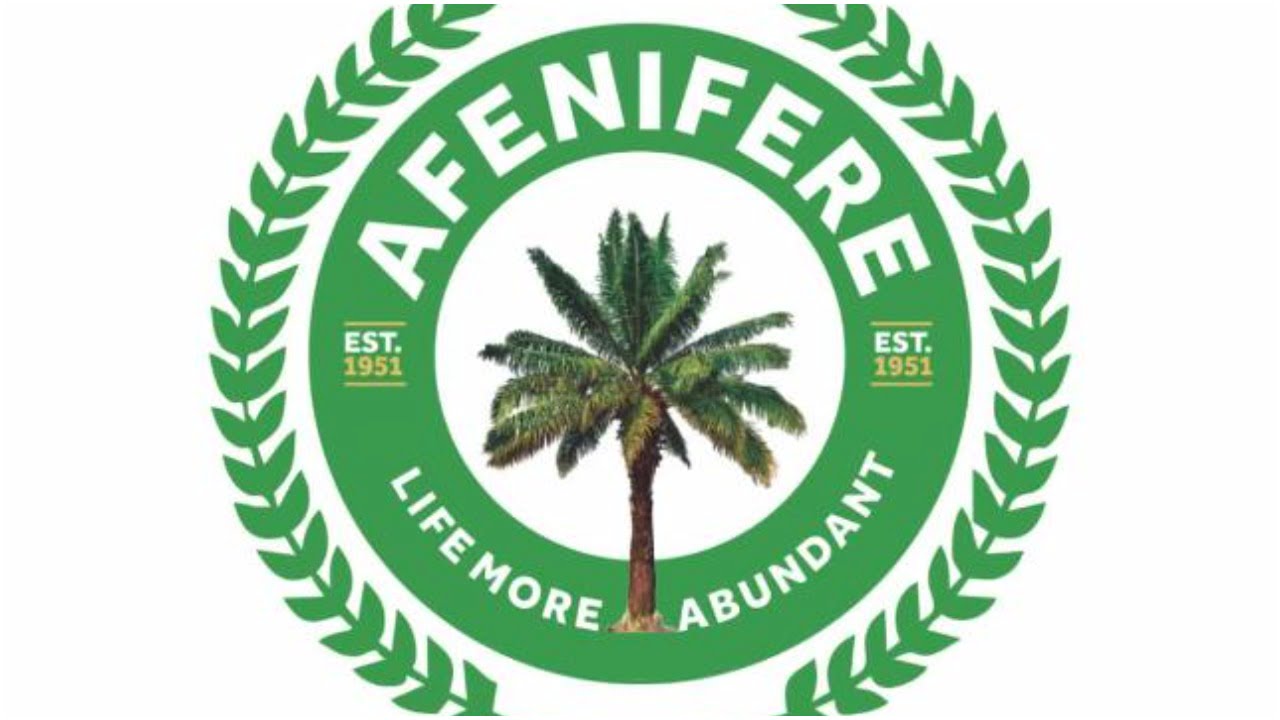 Afenifere Raises Alarm Over Exclusion of Ondo Coastline from Lagos-Calabar Highway