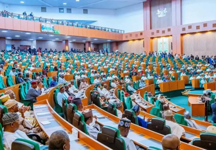 Lawmakers Oppose Dollar Billing for Local Petrol Sales