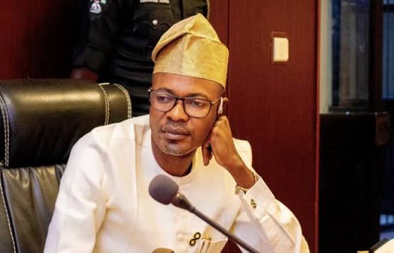 IGP Explains Failure to Produce Adeyemi Before Reps Committee