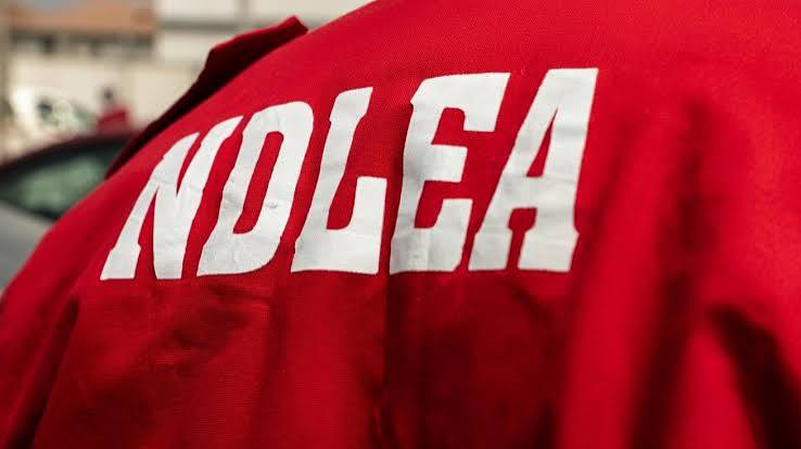 NDLEA Arrests 49 Suspected Drug Traffickers in Edo, Promotes 73 Personnel