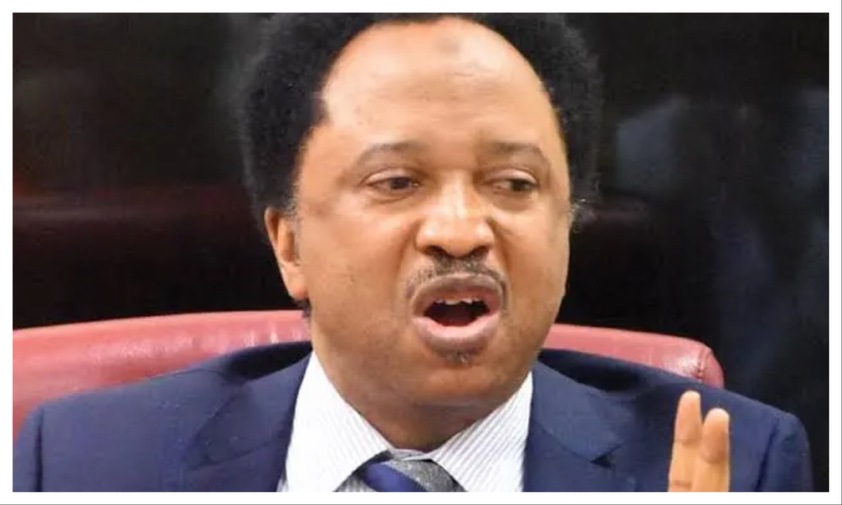 Atiku, Obasanjo’s Feud Will Continue Until One of Them Dies — Shehu Sani