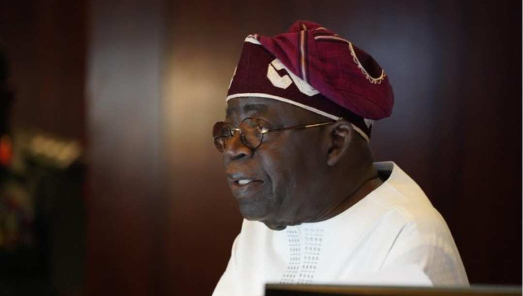 Explain Missing School Records in INEC Form — Buhari’s Ex-Minister Challenges Tinubu