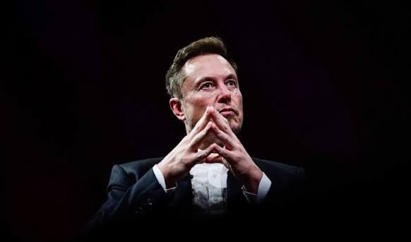 Musk Questions Grok's Claim That Nigeria Recorded Four Million More Births Than EU