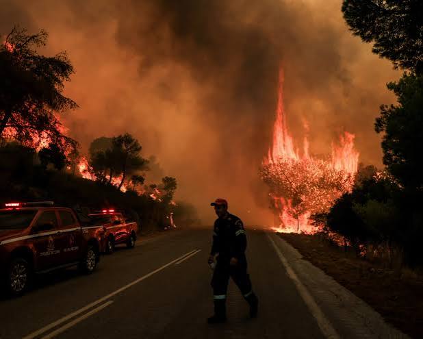 Greek Wildfires Ravage Forests, Homes as PM Warns of More Difficult Days