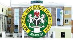 43 Insurers, Reinsurers Meet NIIRA 2025 Capital Requirements