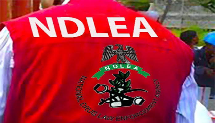 NDLEA Blames Rising Clubhouses for Drug Abuse in Kwara Community