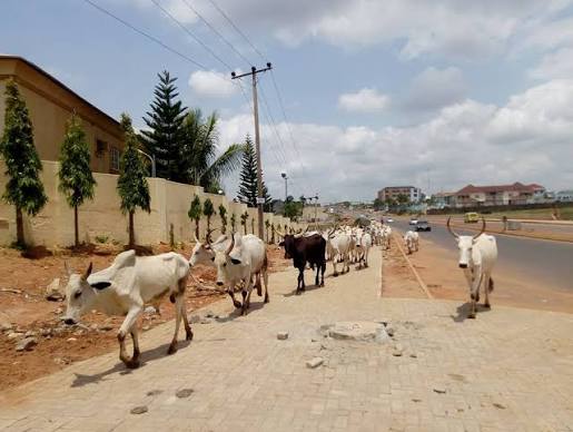 Abeokuta North Bans Open Grazing, Commissions Development Projects