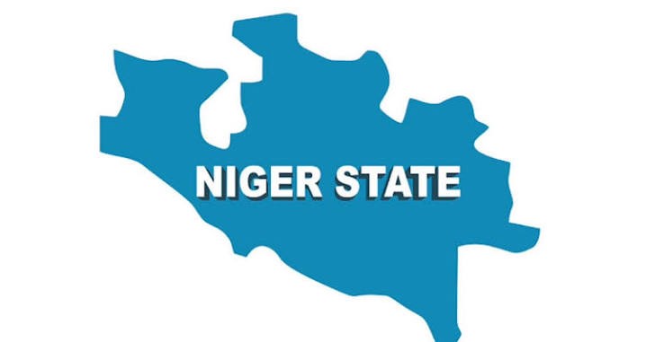 Niger Records 17 Diphtheria Deaths as Cases Rise to 124