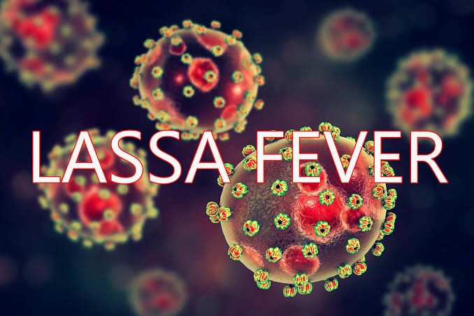 Lassa Fever Hits 1,000 Cases in Nigeria; 53 Health Workers Infected, NCDC Says