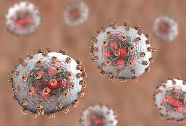 Lassa Fever: Nigeria Records 237 Deaths as Fatality Rate Rises to 23.7%