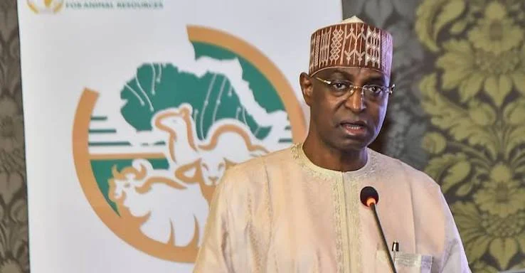 FG Unveils State-Specific Livestock Centres to Drive $74bn Sector Growth