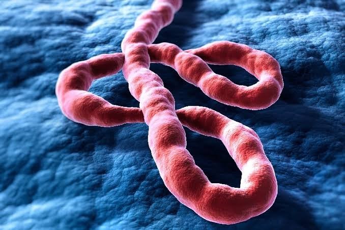 DR Congo Ebola Outbreak Becomes Deadliest With Over 2,300 Deaths